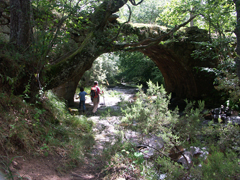 Puente de Rojadillo