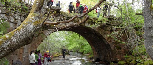 Puente Rojadillo