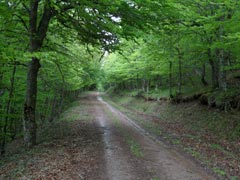 Pista de Las Llanas