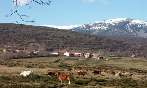 Vista de Valberzoso